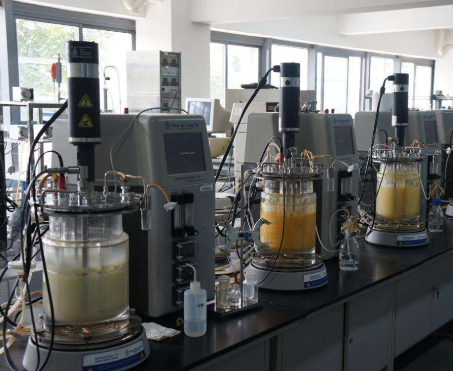 10L实验室发酵设备